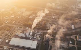 "particulate" picture