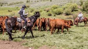 "rancher" picture