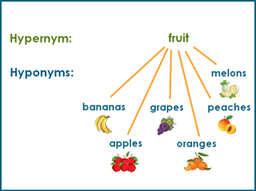 "hyponym" picture