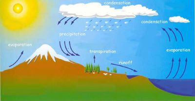 "hydrology" picture