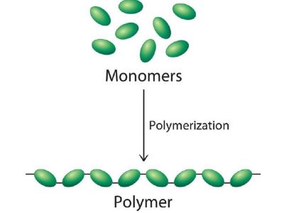 "monomer" picture
