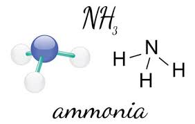 "ammonia" picture