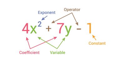 "polynomial" picture