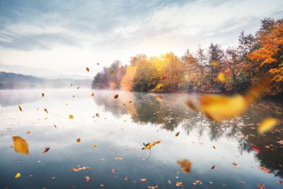 "fall away" picture