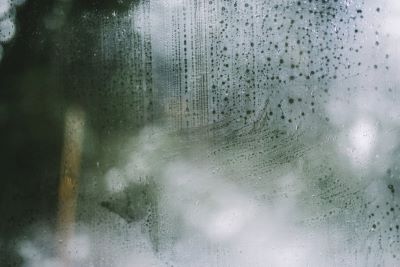 "mist over" picture