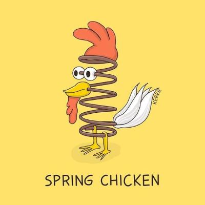 "spring chicken" picture