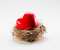 "love nest" picture