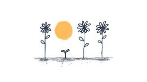 "late bloomer" picture