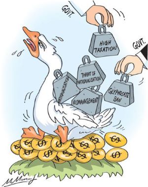 "kill the goose that lays the golden egg" picture