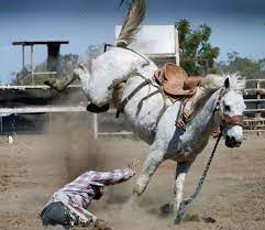 "come a cropper" picture
