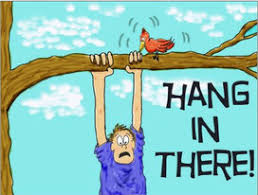 "hang (on) in there" picture