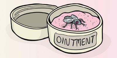 "fly in the ointment" picture