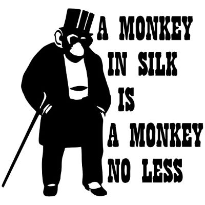 you can dress a monkey in silk Adorable Baby Monkey in Cute Clothes