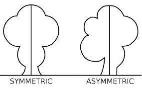 asymmetrical nghĩa là gì? | Từ điển Anh-Việt Lingoland