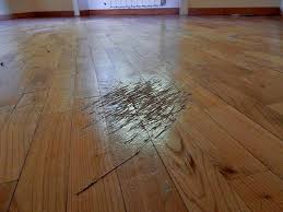 Scrootch Definition What does scuff mean? | Lingoland English-English Dictionary